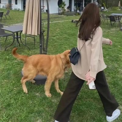 角头情圣